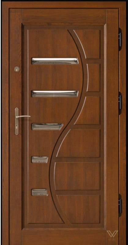 Двері вхідні, однополі