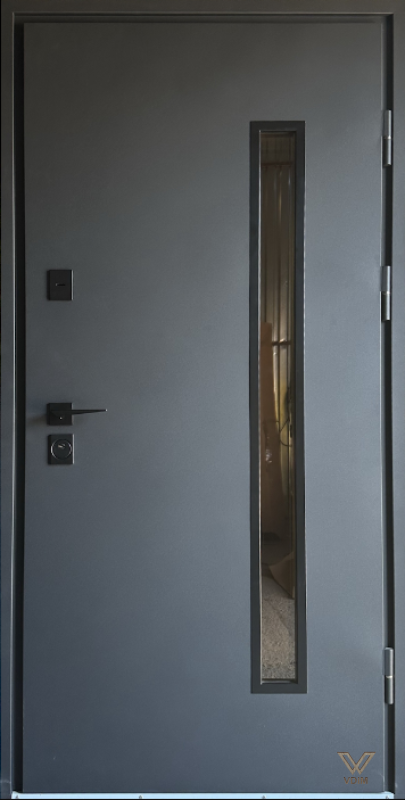 Стріт грей ЛЮКС зі склопакетом, Графіт структура/ графіт матовий, 860x2040